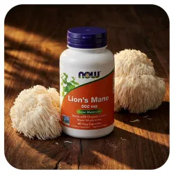 Melena de León I NOW Foods I 500mg