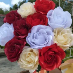 Ramo de 12 Rosas Realistas