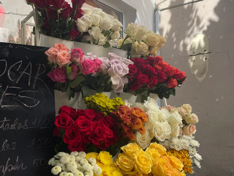 Flores importadas 
