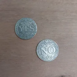 Moneda (sí/no)