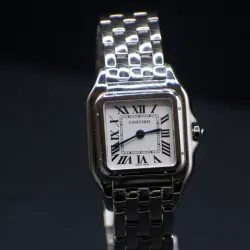 Cartier Panther para Dama de acero 2025