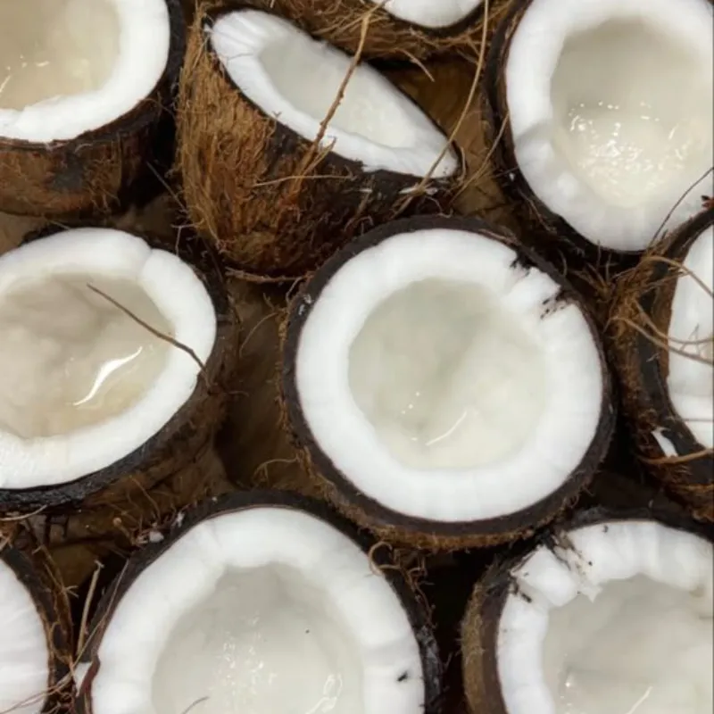 Empanada de Coco 🥥 