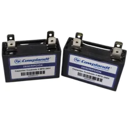 Capacitor