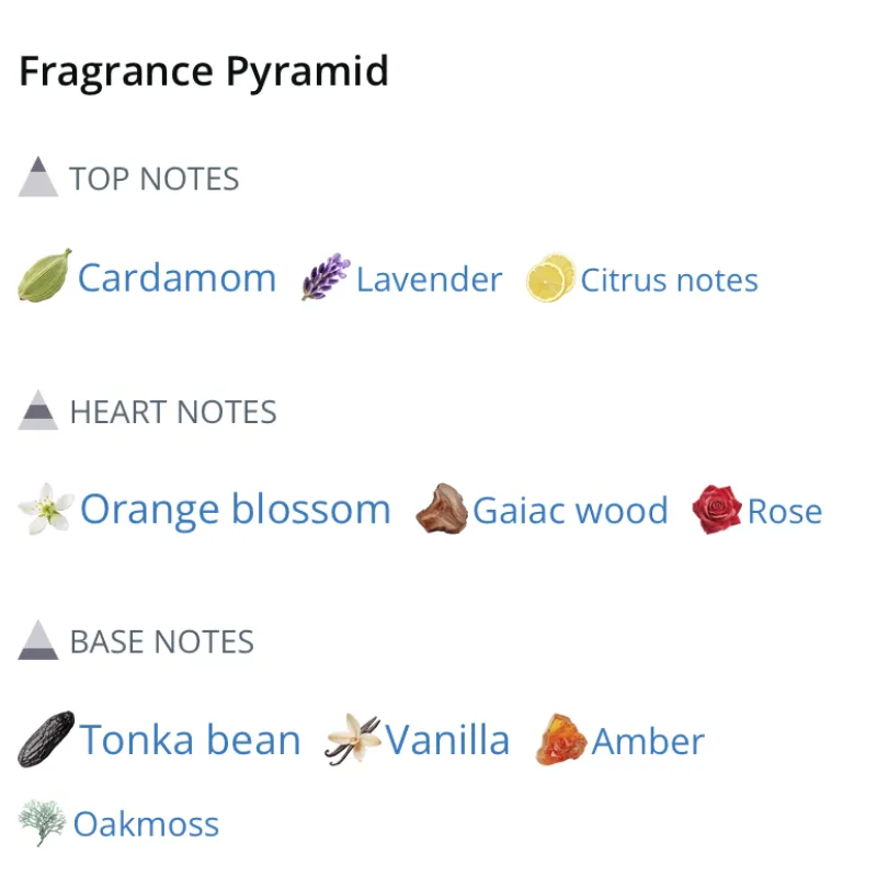 LIQUID BRUN Limited Edition   150ml FRENCH AVENUE