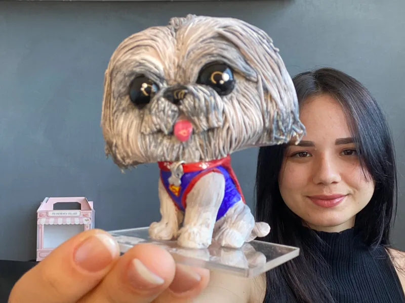 🐈‍⬛Tu Amigo Fiel🐕