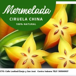 Mermelada de Ciruela China 
