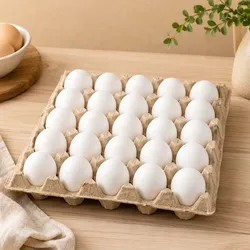 Huevos Frescos