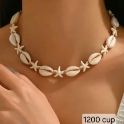 Caracoles y estrella