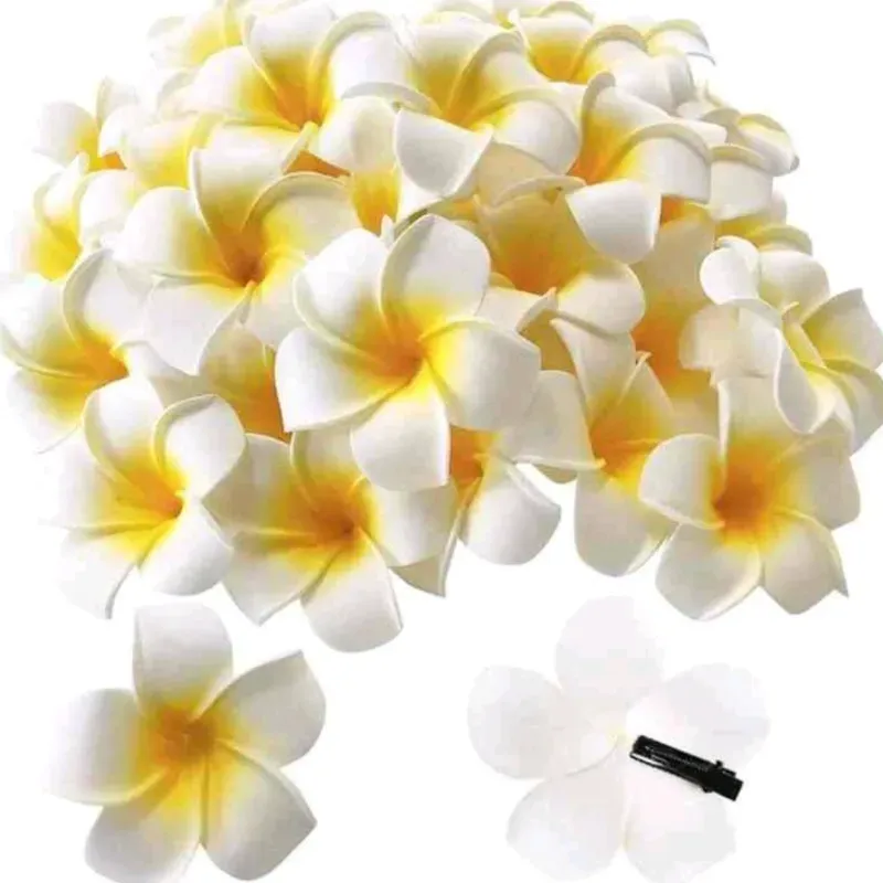Clips de Flores