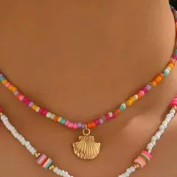 Collar de colores y concha