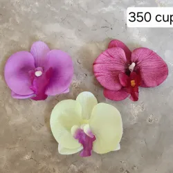 Hebillas de Orquídeas 