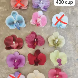 Hebillas de Orquídeas 