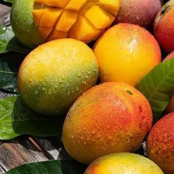 Mango