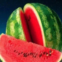 Melón