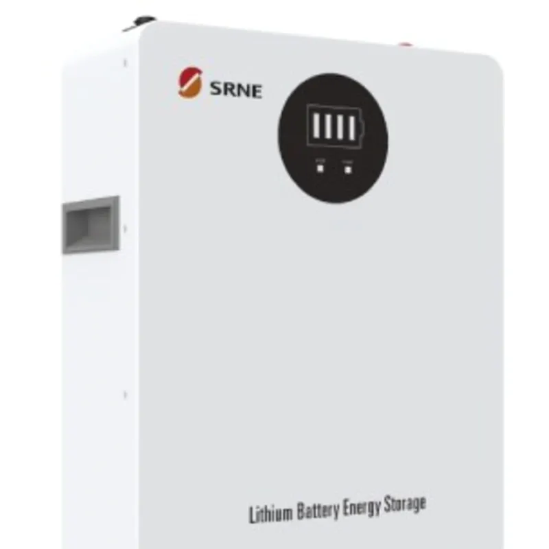 Bateria de 24V 100Ah LiFePo4 SRNE