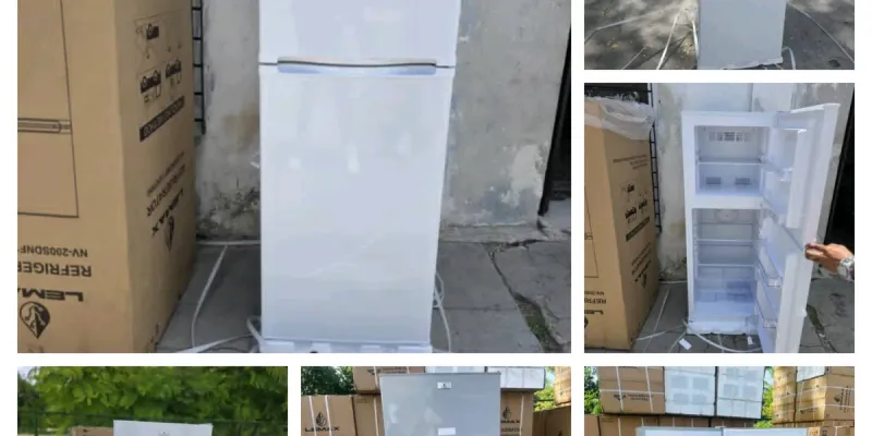 FRIO LEMAX 7.5 PIES³-Congelación seca en 365 USD 
