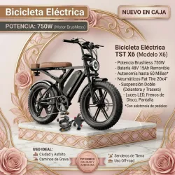 Bicicleta Eléctrica TST X6 750W 48V 15Ah 20x4 Fat Tire Con Rack Y Candado Negro