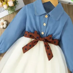 Vestido Estilo Denim, Costuras de Malla