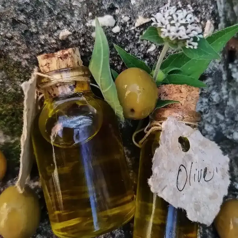 Aceite de oliva 