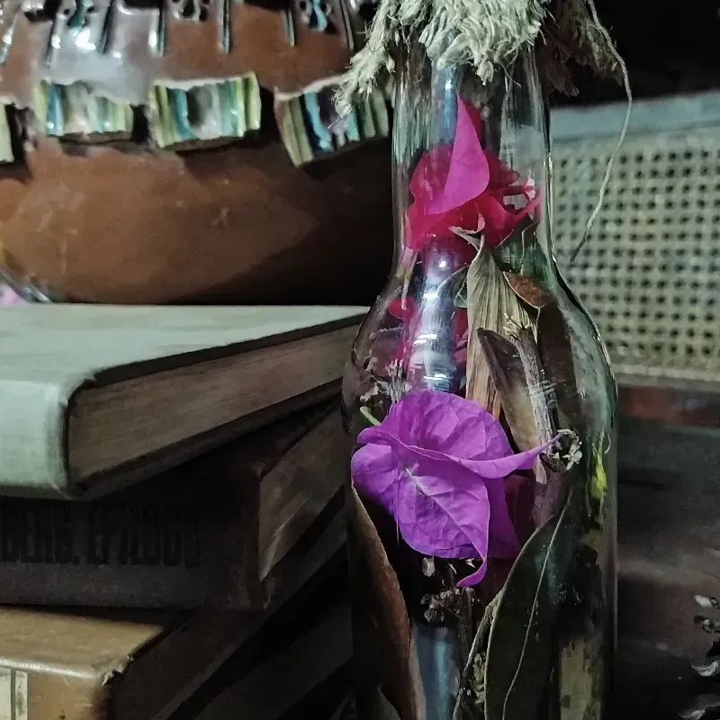 Botella de la bruja 