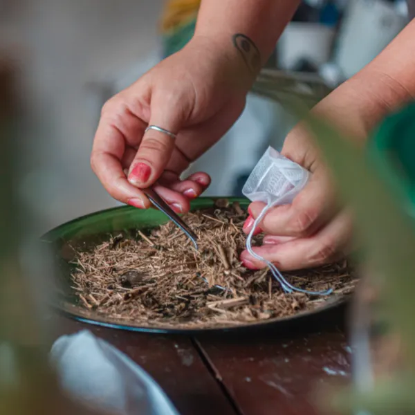 Verda 🍃
📍 La Habana 

Creamos productos naturales y artesanales, para que te consientas, cuides y vivas en armonía con tu cuerpo.

Velamos por las energías, y cada uno de nuestros productos; elaborados de manera única y totalmente manual; van llenos de las mejores energías y una luz.