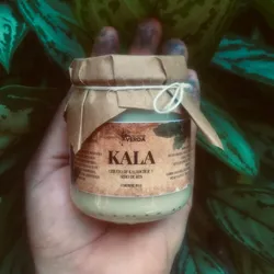🌿 Kala/cerato de Kalanchoe