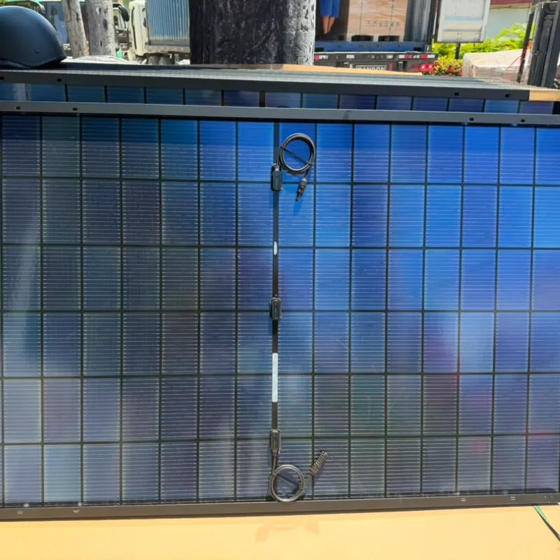 Panel solar Solar EVER 450 W bifacial