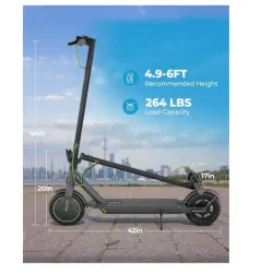 Patineta Eléctrica ROINSIDE 350W
