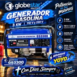 Planta de 3300 w son 110 y 220v   son 4 tiempos