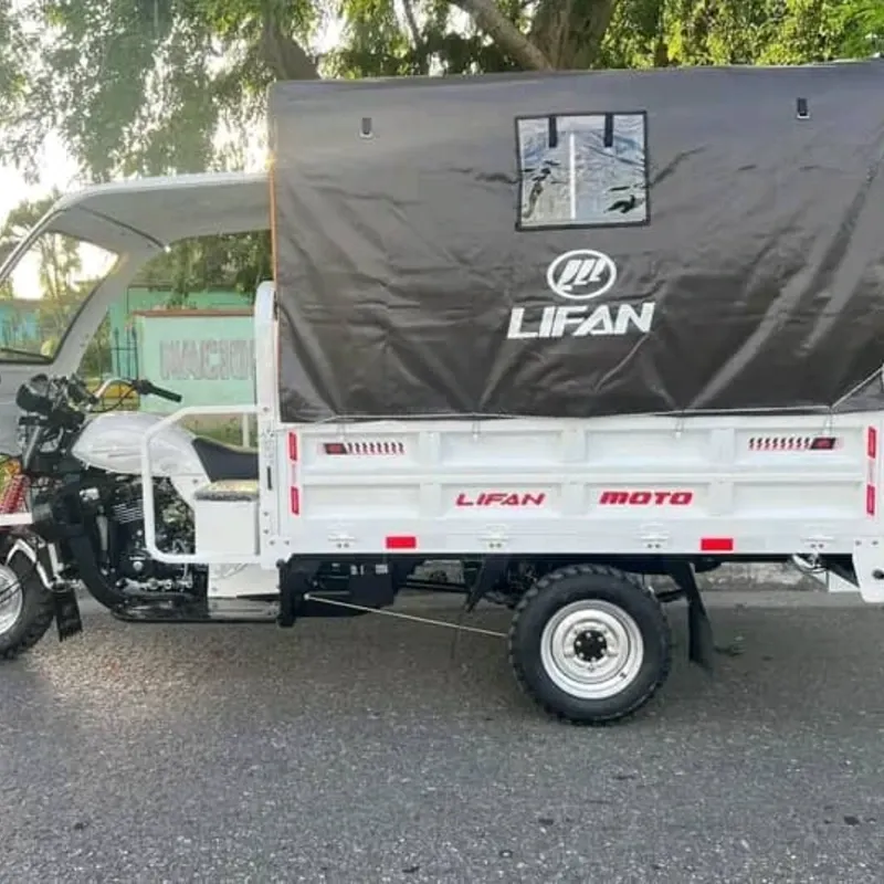 🚛  TRICICLO LIFAN 300cc (EDICIÓN 2026) 🛠️
