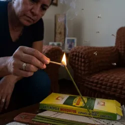 Cajas de incienso espanta moscas y mosquitos
