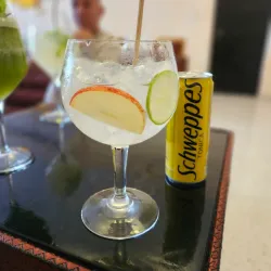 Gin Tonic 