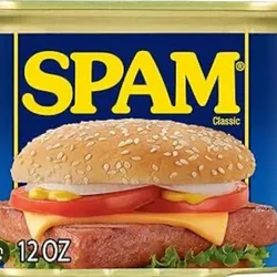 SPAM