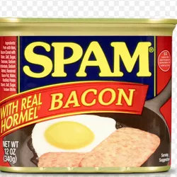 SPAM BACON 