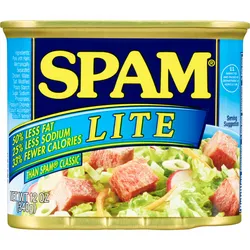 SPAN LITE