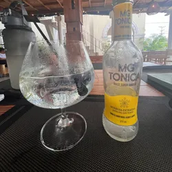 Gin Tonic