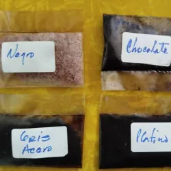 Tintes en polvo