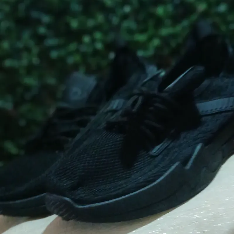 Zapatillas 