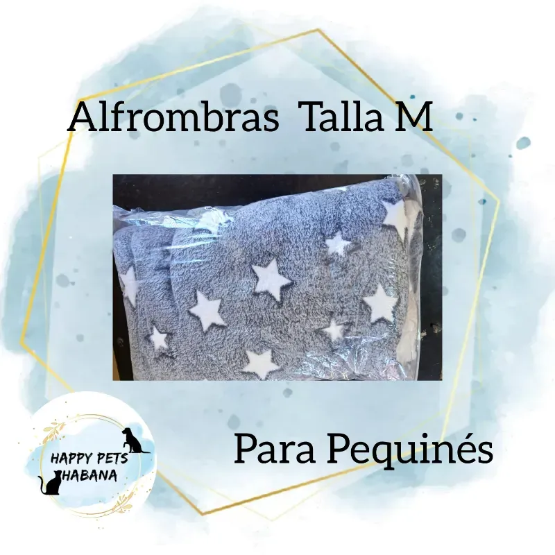 Alfombra 