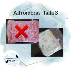 Alfombra 