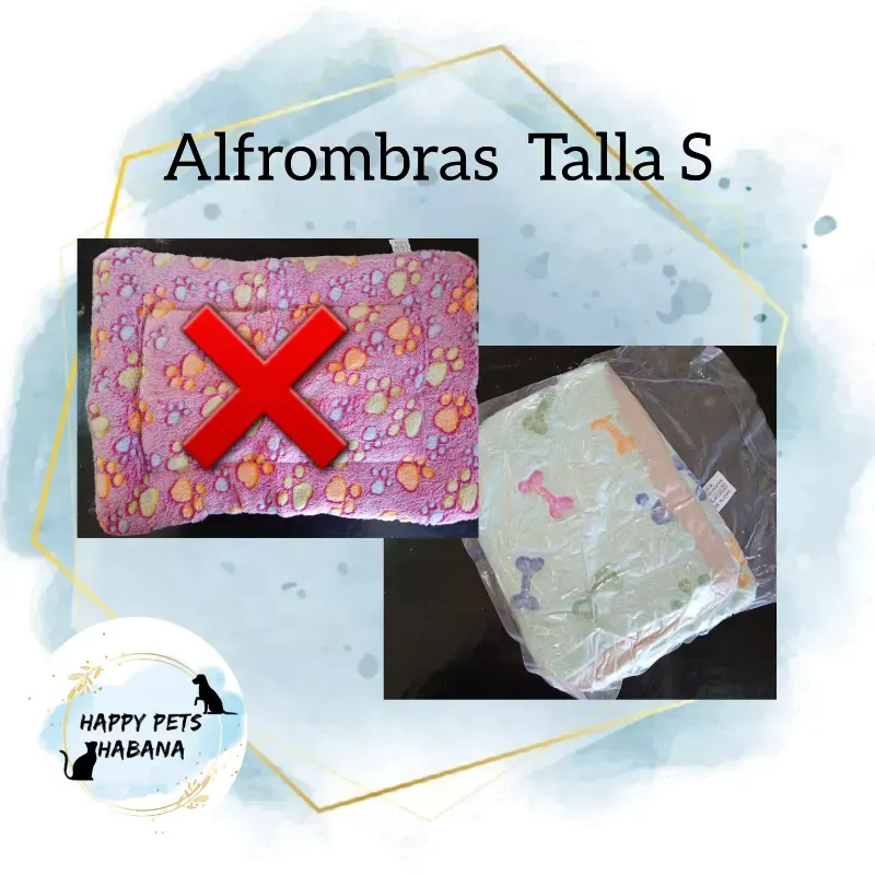 Alfombra 