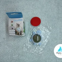 Catnip (Menta para gatos)