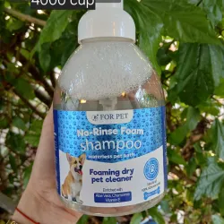 Champú en seco