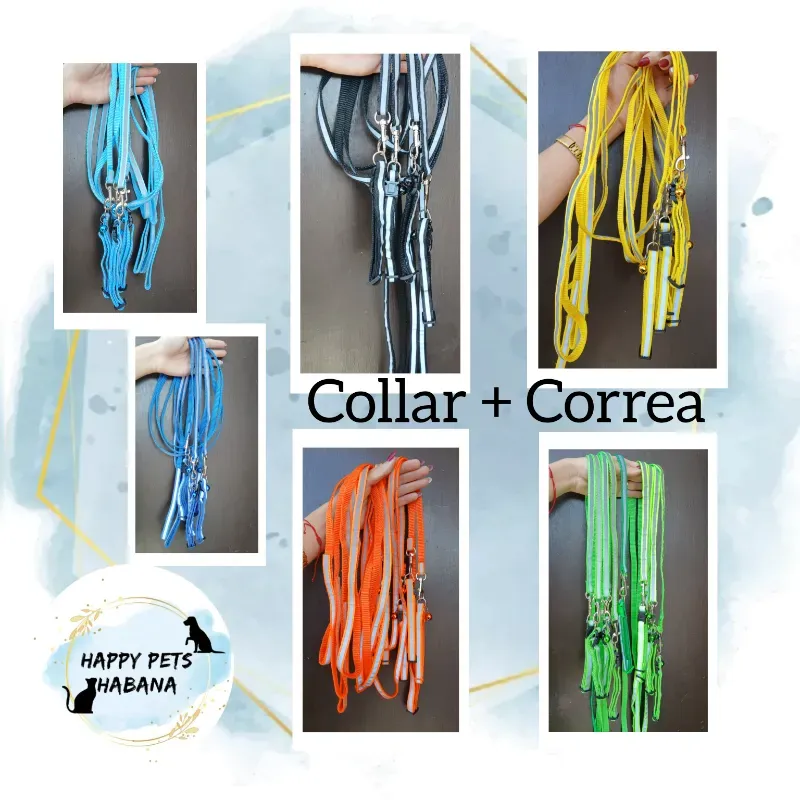 Collar y Correa 