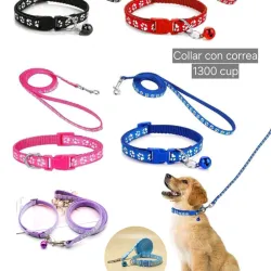 Collar y Correa 