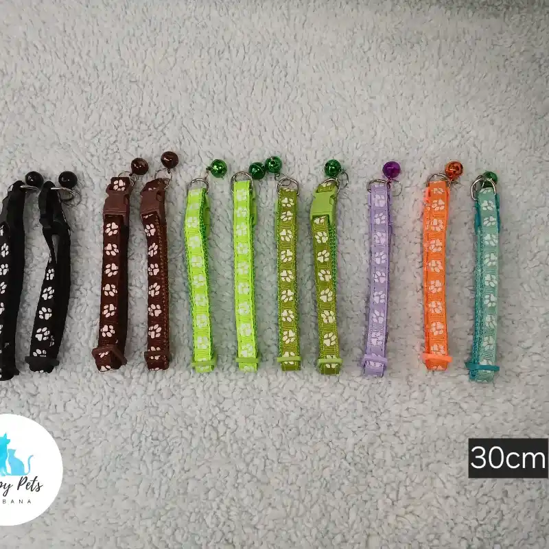 Collares 