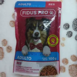 Comida Húmeda