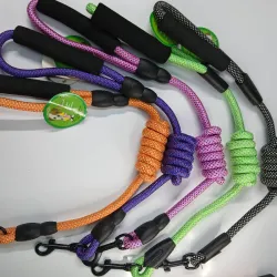 Correas M