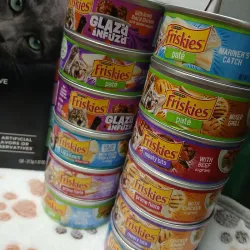 Latas de Comida Húmedas para Gatos