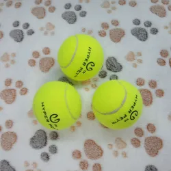 Pelota engomada